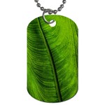 Green-leaf-plant-freshness-color Dog Tag (Two Sides) Back