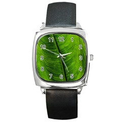 Green-leaf-plant-freshness-color Square Metal Watch by Bedest