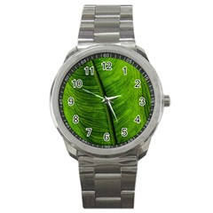 Green-leaf-plant-freshness-color Sport Metal Watch by Bedest