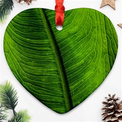 Green-leaf-plant-freshness-color Heart Ornament (two Sides) by Bedest