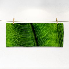 Green-leaf-plant-freshness-color Hand Towel by Bedest