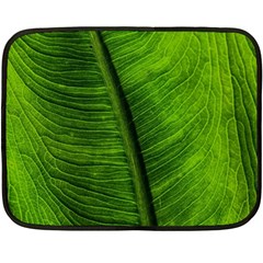 Green-leaf-plant-freshness-color Two Sides Fleece Blanket (mini) by Bedest