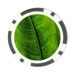 Green-leaf-plant-freshness-color Poker Chip Card Guard (10 Pack) by Bedest