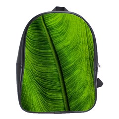 Green-leaf-plant-freshness-color School Bag (large) by Bedest