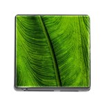 Green-leaf-plant-freshness-color Memory Card Reader (Square 5 Slot) Front