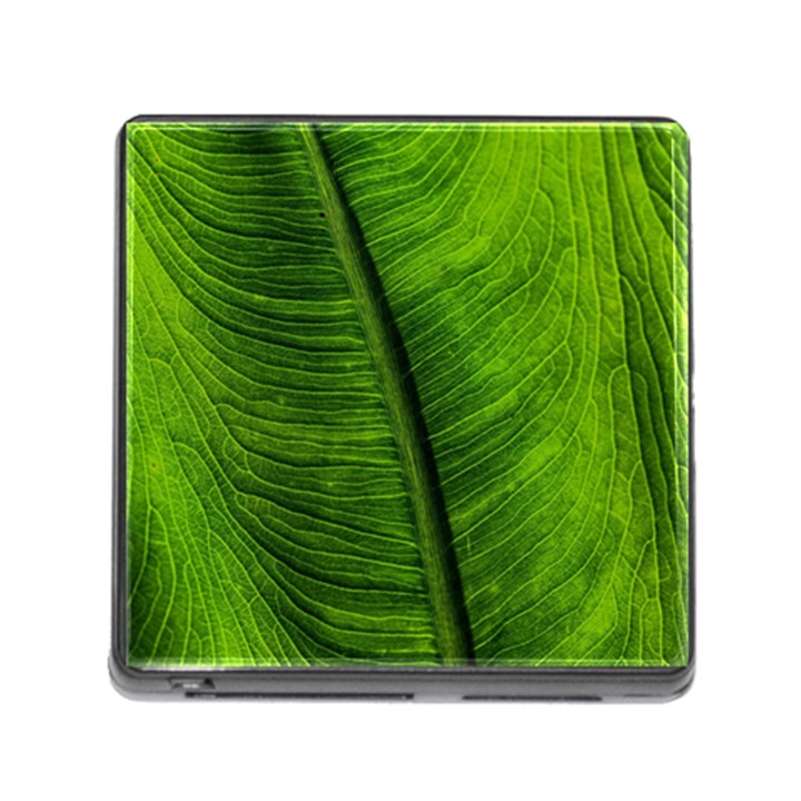 Green-leaf-plant-freshness-color Memory Card Reader (Square 5 Slot)