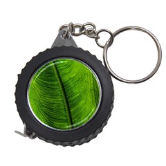 Green-leaf-plant-freshness-color Measuring Tape by Bedest