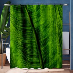 Green-leaf-plant-freshness-color Shower Curtain 60  X 72  (medium)  by Bedest