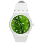 Green-leaf-plant-freshness-color Round Plastic Sport Watch (M) Front