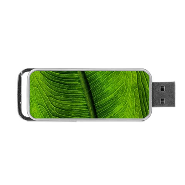 Green-leaf-plant-freshness-color Portable USB Flash (Two Sides)