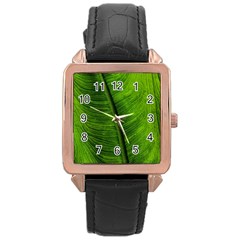 Green-leaf-plant-freshness-color Rose Gold Leather Watch  by Bedest