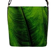 Green-leaf-plant-freshness-color Flap Closure Messenger Bag (l) by Bedest