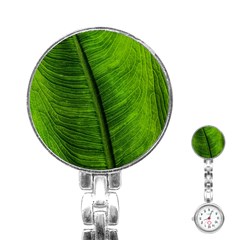 Green-leaf-plant-freshness-color Stainless Steel Nurses Watch by Bedest