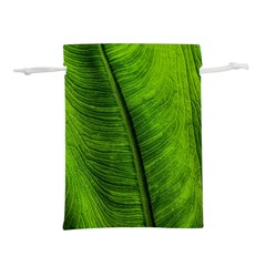 Green-leaf-plant-freshness-color Lightweight Drawstring Pouch (l) by Bedest