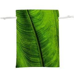 Green-leaf-plant-freshness-color Lightweight Drawstring Pouch (xl) by Bedest