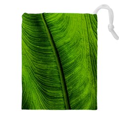 Green-leaf-plant-freshness-color Drawstring Pouch (4xl) by Bedest