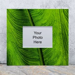 Green-leaf-plant-freshness-color White Wall Photo Frame 5  X 7  by Bedest