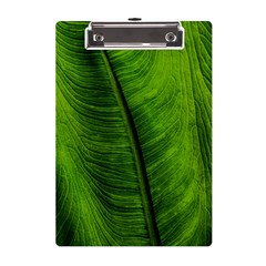 Green-leaf-plant-freshness-color A5 Acrylic Clipboard