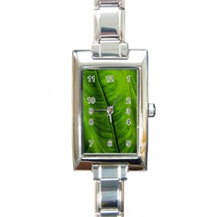 Green-leaf-plant-freshness-color Rectangle Italian Charm Watch by Bedest