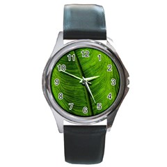 Green-leaf-plant-freshness-color Round Metal Watch by Bedest