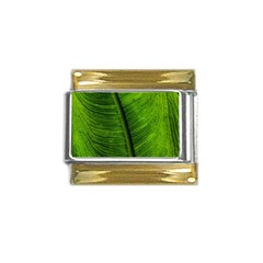 Green-leaf-plant-freshness-color Gold Trim Italian Charm (9mm) by Bedest