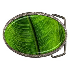 Green-leaf-plant-freshness-color Belt Buckles by Bedest