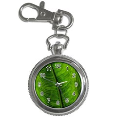 Green-leaf-plant-freshness-color Key Chain Watches by Bedest