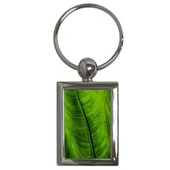 Green-leaf-plant-freshness-color Key Chain (rectangle) by Bedest