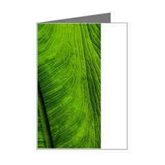 Green-leaf-plant-freshness-color Mini Greeting Card by Bedest