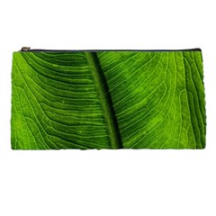 Green-leaf-plant-freshness-color Pencil Case by Bedest