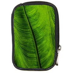 Green-leaf-plant-freshness-color Compact Camera Leather Case by Bedest