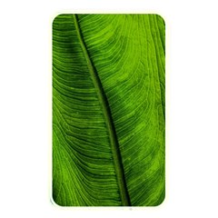 Green-leaf-plant-freshness-color Memory Card Reader (rectangular) by Bedest