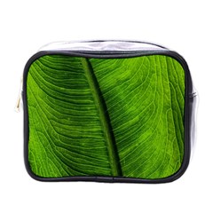 Green-leaf-plant-freshness-color Mini Toiletries Bag (one Side) by Bedest