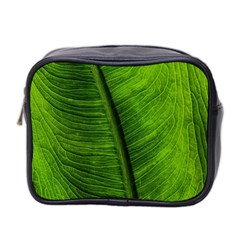 Green-leaf-plant-freshness-color Mini Toiletries Bag (two Sides) by Bedest