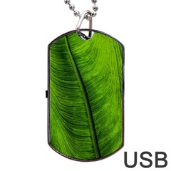 Green-leaf-plant-freshness-color Dog Tag Usb Flash (two Sides) by Bedest