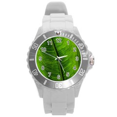 Green-leaf-plant-freshness-color Round Plastic Sport Watch (l) by Bedest