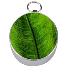 Green-leaf-plant-freshness-color Silver Compasses by Bedest