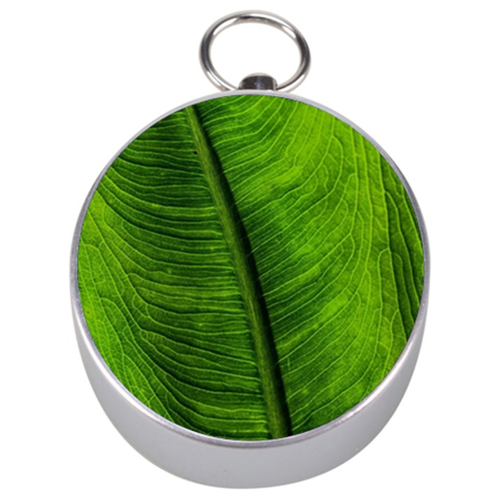 Green-leaf-plant-freshness-color Silver Compasses