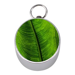 Green-leaf-plant-freshness-color Mini Silver Compasses by Bedest