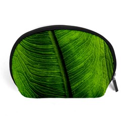 Green-leaf-plant-freshness-color Accessory Pouch (large) by Bedest