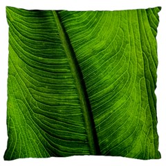 Green-leaf-plant-freshness-color Large Premium Plush Fleece Cushion Case (two Sides) by Bedest