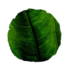 Green-leaf-plant-freshness-color Standard 15  Premium Flano Round Cushions by Bedest