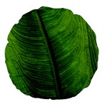 Green-leaf-plant-freshness-color Large 18  Premium Flano Round Cushions Front