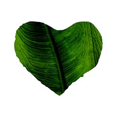 Green-leaf-plant-freshness-color Standard 16  Premium Flano Heart Shape Cushions