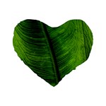 Green-leaf-plant-freshness-color Standard 16  Premium Flano Heart Shape Cushions Front