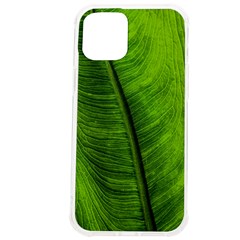 Green-leaf-plant-freshness-color Iphone 12 Pro Max Tpu Uv Print Case by Bedest