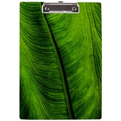 Green-leaf-plant-freshness-color A4 Acrylic Clipboard by Bedest