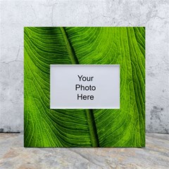 Green-leaf-plant-freshness-color White Box Photo Frame 4  X 6  by Bedest