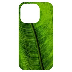 Green-leaf-plant-freshness-color Iphone 14 Pro Black Uv Print Case by Bedest