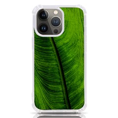 Green-leaf-plant-freshness-color Iphone 13 Pro Tpu Uv Print Case by Bedest